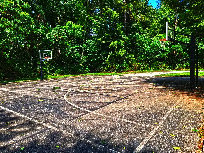 basketball-court-1
